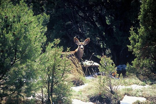 Tour image 6