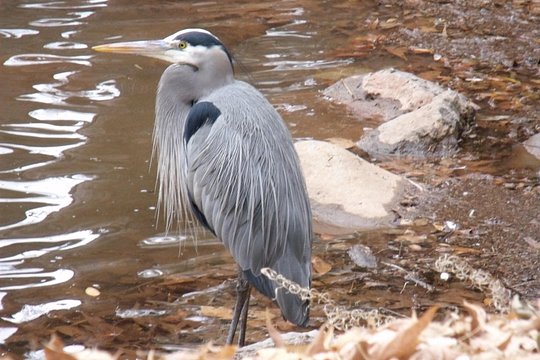 Tour image 4