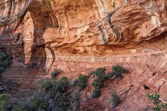 Tour image 6