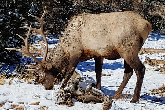 Tour image 6