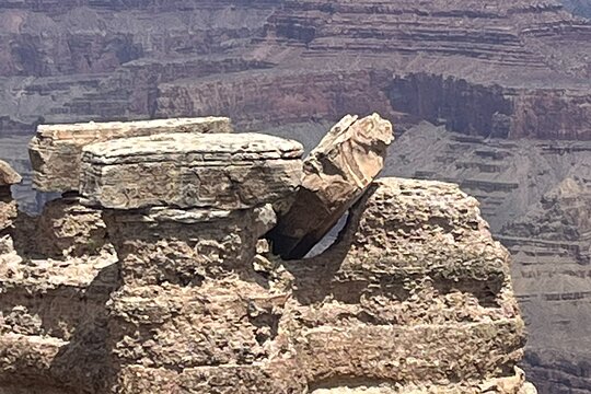 Tour image 5
